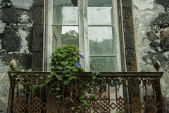 P1110253